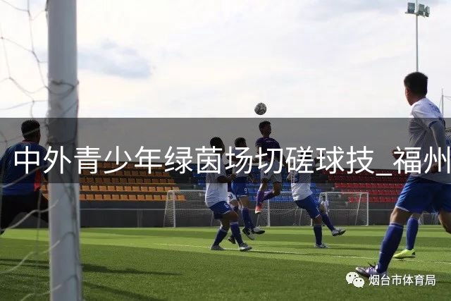中外青少年绿茵场切磋球技 福州五足赛掀起跨国友谊热潮